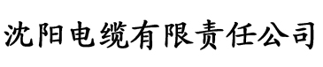 勇者姬米莉娅动漫免费在线观看电缆厂logo